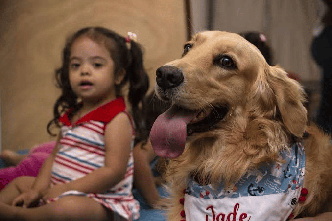 Cão co-terapeuta do projeto Animais Terapeutas ao lado de uma criança durante sessão