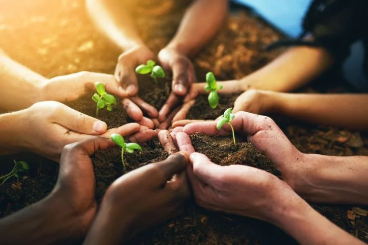 Lab Futuros Inovatives impulsiona projetos que buscam impacto social e ambiental